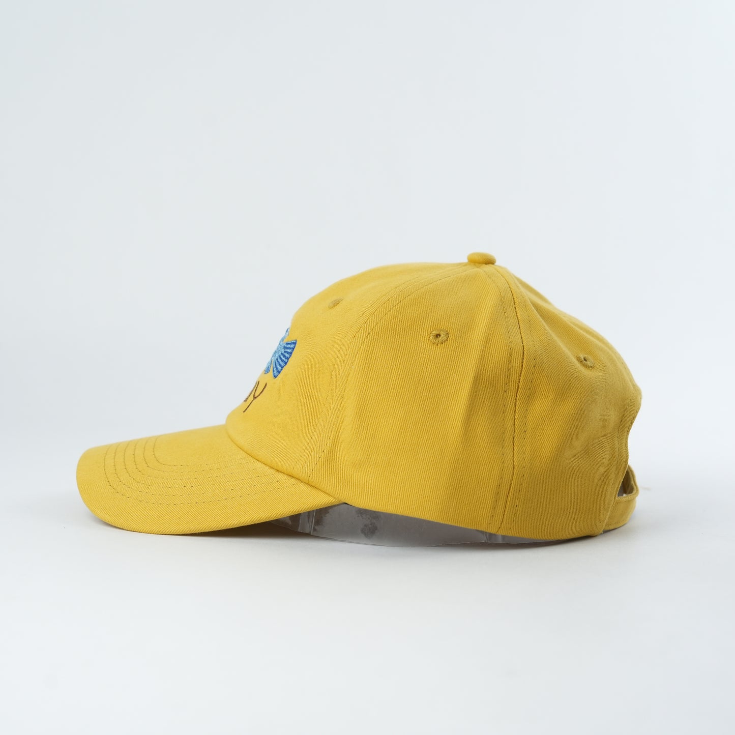 Clovelly Cap